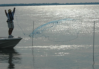Throwing a net during Shrimp-baiting season